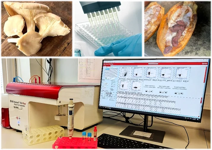 Eine Wissenschaftlerin und ein Wissenschaftler arbeiten hinter einer Glasfassade und mischen Chemikalien mit Großgeräten.